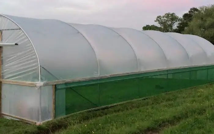 Polytunnel Repairs