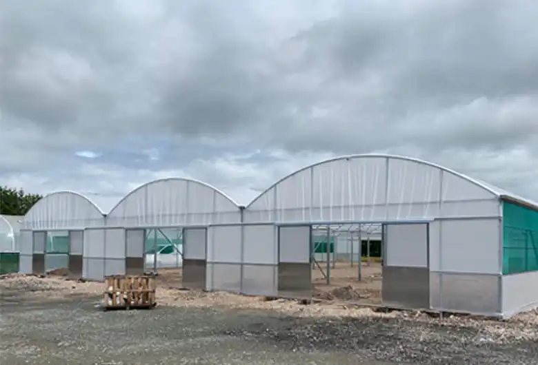 Polytunnel Refurbishment