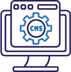 Custom CMS Solutions